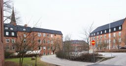 Filnamn=DSC02484pCopp~0.jpg
Filstorlek=113KiB
Dimensioner=1024x543
Uppladdade datum=30 Apr 2018 DSC02484pCopp~0.jpg