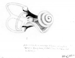 Filnamn=RetziusHinnlabyrint_p.jpg
Filstorlek=65KiB
Dimensioner=1024x795
Uppladdade datum=01 Maj 2018 RetziusHinnlabyrint_p.jpg