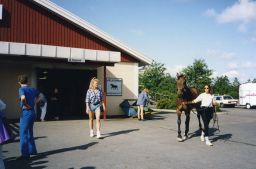 Filnamn=SMHS02143Copp.jpg
Filstorlek=106KiB
Dimensioner=1024x678
Uppladdade datum=17 Jun 2017 SMHS02143Copp.jpg