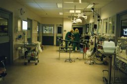 Filnamn=SMHS02144Copp.jpg
Filstorlek=106KiB
Dimensioner=1024x682
Uppladdade datum=17 Jun 2017 SMHS02144Copp.jpg