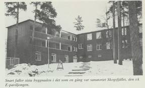 E-paviljongen