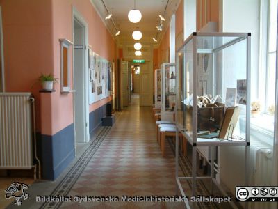 Medicinhistoriska museet i Lund år 2006.
Lundakvinnan, en utställning i en av korridorerna. Foto 2006.
Nyckelord: 2006; Medicinhistoriskt; Museum; St Lars; Lund; Utställning; Lundakvinnan