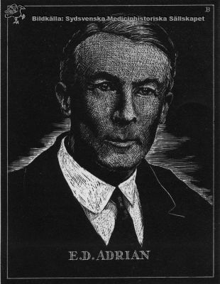 Edgar Douglas Adrian, Nobelpristagare 1932
Edgar Douglas Adrian F.R.S., M.D., Hon. D. Sc., Hon. LL. D., F.R.C.P. Född 1889. Nobelpriset för fysiologi eller medicin för 1932. Tryck utan känd proveniens.
Nyckelord: Kapsel 11;Porträtt;Nobelpristagare;Nobelpris;Fysiologi;Medicin;Edgar;Douglas;Adrian;Tryck