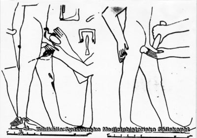 Omskärelse i det gamla Egyptien
Reprofoto monterat på pappskiva. Ankh-ma-Hor's tomb, Saggara. Circumcision / Omskärelse. Publicerad i Sydsvenska Medicinhistoriska Sällskapets årsskrift 1967 som Fig 7 sid 33 - 34.
Nyckelord: Urologi;Andrologi;Kirurgi;Omskärelse;Egypten;Saggara;Ankh-ma-Hor;Grav;Reprofoto;Monterat;Kapsel 08