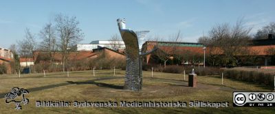 Skulptur i den lilla parken framför Annetorpshemmets byggnader för gruppboende i Lund
Notera den lilla kopian av skulpturen, som de synskadade kan få känna på så att de förstår dess utseende trots att de inte kan se den. Notera också ledrepet i höfthöjd för de synskadade och dess vita stolpar. Foto 040314. Fil PICT2204.jpg.
Nyckelord: Park;Annetorpshemmet;Exteriört;Lund;Blinda;Komplicerat;Lyte