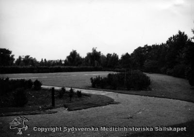 Gravplats för Vipeholms sjukhus på norra kyrkogården i Lund. 
Många av de intagna saknade anhöriga som kunde ta hand om deras kvarlevor, och då begravdes de här. Gravplatsen slutade användas 1965 när hemkommunerna ålades att ta hand om avlidna vipeholmspatienter även i de fall när anhöriga saknades. Foto Omonterat
Nyckelord: Kapsel 14;Omonterat;Foto;Lund;Kyrkogård;Gravplats;Vipeholm