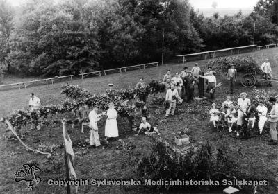 Midsommarstången kläds för en glad fest på Vipeholm
Vipeholm fester. Glada förberedelser. Foto Omonterat
Nyckelord: Kapsel 14;Midsommar;Fest;Vipeholm