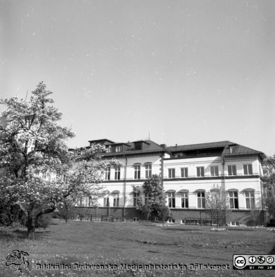 Malmö Allmänna Sjukhus 1997. Tidigare öronkliniken, sedermera IT-avdelningen
Album MAS 1997. II. Från fotograf Björn Henrikssons samling. 97-10500. AF, 11/11-97. Byggnad, ing 22. Fasad mot söder. Ursprunglingen KK/Barnbördshus, senare öronklinik och nu (2013) IT-avdelning.  Från negativ
Nyckelord: UMAS;MAS;Malmö_;Allmänna;Sjukhus;_Öron;Data-avdelning;IT;KK;Barnbördshus
