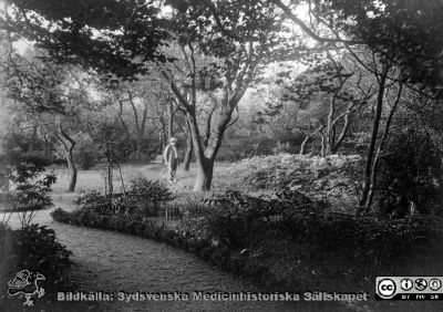 Professor. M. K. Löwegren i sin trädgård vid St Petri Kyrkogata i Lund. 
Från foto omkring sekeskiftet 1900. Bildkälla: M.K. Löwegrens efterlämnade handlingar hos Aino Milner i Dalby 2013, från 2015 på UB i Luind. 
Nyckelord: Lund;Universitetssjukhus;Universitet;Ögon;Oftalmologi;Trädgård;Park