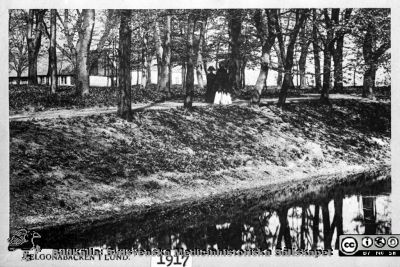 Reprofoto av vykort från Helgonabacken i Lund. 
Från 35 mm repronegativ i lasarettsfotografernas pärm "Gammalt A". Foto Lina Jonns efterträdare (Per Bagge). Årtalet 1917 på den påklistrade lilla lappen anger knappast när bilden togs. Personerna på bilden är identiska med dem på bild SMHS11688, som är från ett vykort tryckt 1903.
Nyckelord: Universitet;Universitetssjukhus;Helgonabacken;Lund;Lasarett;Helgonagården