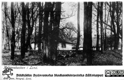 Helgonabacken i Lund
Från 35mm repronegativ i lasarettsfotografernas pärm "Gammalt A". Fotografiskt vykort av fotograf Lina Jonn i Lund, 1890-talet.
Nyckelord: Helgonabacken;Vykort;Lund;Universitetssjukhus;Universitet