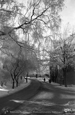 Vinterbild, Lasarettet i Lund, 1960-talet
PÃ¤rm "Div. tagningar, 1960 och t.v."	Lasarettsexteriörer, 1960-talet. Vinterbild, mot söder på vägen mellan UB och dåvarande kvinnokliniken; senare Lasarettsgatan. Kvinnokliniken till höger i bilden. Från negativ
Nyckelord: Lasarettet;Lund;Universitetssjukhus;Universitet;UB;Kvinnoklinik;Vinterväder;Rimfrost