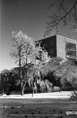 Vinterbild, Lasarettet i Lund, 1960-talet
Pärm "Div. tagningar, 1960 och t.v."	Lasarettsexteriörer, 1960-talet. Barnkliniken (senare Alwallhuset) från sydväst. Från negativ
Nyckelord: Lasarettet;Lund;Universitetssjukhus;Universitet;Vinterväder;Rimfrost;Barnklinik