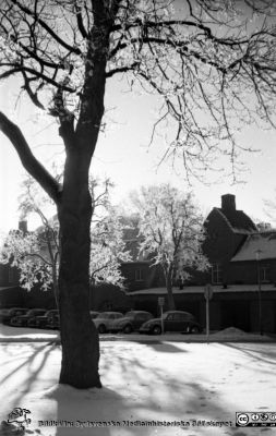 Vinterbild, Lasarettet i Lund, 1960-talet
Pärm "Div. tagningar, 1960 och t.v."	Lasarettsexteriörer, 1960-talet. Förbindelsegången mellan södra och norra lasarettsområdena, från 2012 Livets Museum. Vy mot söder i vinterväder.Från negativ
Nyckelord: Lasarettet;Lund;Universitetssjukhus;Universitet;Vinterväder;Rimfrost;Valv;Gerdabaren