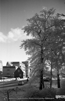 Vinterbild, Lasarettet i Lund, 1960-talet
Pärm "Div. tagningar 1960 och t.v. Lasarettsexteriörer". Vinterbild före högertrafikens införande 1967. AB-blocket från portvakten vid Getingevägen. Foto på 1960-talet. Från negativ.
Nyckelord: Lasarettet;Lund;Universitetssjukhus;Getingevägen;Vinter;Rimfrost