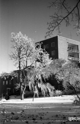 Vinterbild, Lasarettet i Lund, 1960-talet
Pärm "Div. tagningar 1960 och t.v. Lasarettsexteriörer". Vinterbild. Barnkliniken från sydväst Foto på 1960-talet. Från negativ.
Nyckelord: Lasarettet;Lund;Universitetssjukhus;Barnklinik;Vinter;Rimfrost