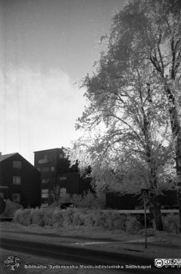 Vinterbild, Lasarettet i Lund, 1960-talet
Pärm "Div. tagningar 1960 och t.v.	Lasarettsexteriörer". Vinterbild. Tandvårdskliniken och radiologiska / onkologiska klinikerna från nordvåst Foto på 1960-talet före högertrafikens införande 1967. Från negativ.
Nyckelord: Lasarettet;Lund;Universitetssjukhus;Vinter;Rimfrost;Tandvård;Tandläkare;Radiologi;Onkologi