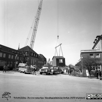 Forskningsbaracken på innergården i den tidigare medicinska kliniken tas bort
Pärm "USiL div. tagningar. 1960 och t.v.". Foto 1968. Från negativ. - Bildserien visar rimligen borttagningen av den barack med forskningsutrymmen som något decennium tidigare hade satts på en av mediciniska klinikens innergårdar. Medicinska klinkiken hade 1968 flyttat in i det nya centralblocket. Se fil SMHS2664 som kommer från samma negativ.
Nyckelord: Lund;Lasarett;Sjukhus;Universitet;Universitetssjukhus;Intern;Medicin;Klinik;Forskning;Barack