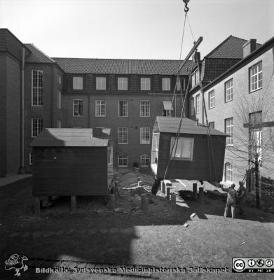 Forskningsbaracken på innergården i den tidigare medicinska kliniken tas bort
Pärm "USiL div. tagningar. 1960 och t.v.". Foto 1968. Från negativ. - Bildserien visar rimligen borttagningen av den barack med forskningsutrymmen som något decennium tidigare hade satts på en av mediciniska klinikens innergårdar. Medicinska klinkiken hade 1968 flyttat in i det nya centralblocket
Nyckelord: Lund;Lasarett;Sjukhus;Universitet;Universitetssjukhus;Intern;Medicin;Klinik;Forskning;Barack