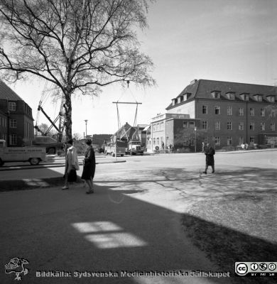 Forskningsbaracken på innergården i den tidigare medicinska kliniken tas bort
Pärm "USiL div. tagningar. 1960 och t.v.". Foto 1968. Från negativ. - Bildserien visar rimligen borttagningen av den barack med forskningsutrymmen som något decennium tidigare hade satts på en av mediciniska klinikens innergårdar. Medicinska klinkiken hade 1968 flyttat in i det nya centralblocket, och baracken behövdes inte mer.
Nyckelord: Lund;Lasarett;Sjukhus;Universitet;Universitetssjukhus;Intern;Medicin;Klinik;Forskning;Barack