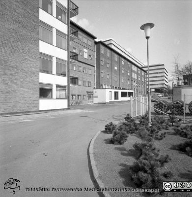 Lasarettet i Lund år 1967. Jubileums- / Radiologiska kliniken.
Lasarettsfotograferna i Lund. Pärm "Div. tagningar, 1960 och t.v.". Foto år 1967. Omärkt bild. Jubileumsklinikens / Radiologiska klinikens fasad mot söder. C-blocket skymtar bakom. Från negativ
Nyckelord: Lasarett;Lund;Universitet;Universitetsklinik;USiL;Radiologi;Onkologi;Jubileumsklinik