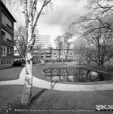 Parken med ankdammen söder om ögonklinikan 1967
Lasarettsfotograferna i Lund. Pärm "Div. tagningar, 1960 och t.v.". Foto 20/4 1967. Reumatologiska klinikens nybyggda flygel i bildens vänstra kant. Det nya centralblocket syns i bakgrunden, men har ännu inte tagits i bruk. Reumatens badbassäng har ännu inte byggts. Från negativ.
Nyckelord: Lasarett;Lund;Universitet;Universitetsklinik USiL;USiL;Reumatologi;Ögon;Oftalmologi