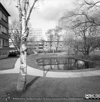 Lasarettet i Lund, bl. a. ögonkliniken, 1967
Pärm "Div. tagningar 1960 och t.v." Omärkt bild 1967. Lasarettet i Lund. Ögonklinikens fasad mot söder. Det ännu inte riktigt färdigbyggda centralblocket ses i bakgrunden. I förgrunden den gamla ankdammen. Reumatiska klinikens östra fasad ses till vänster. Dess terapibassäng har ännu inte byggts. Från negativ.
Nyckelord: Lund;Lasarett;Universitetssjukhus;Universitet;Ögon;Oftalmologi;Oftalmiatrik;Reumatologi;Märgelgrav;Ankdamm;Klinik