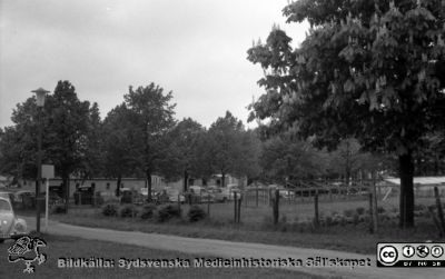 Resterna av folkskoleseminariets trädgårdsmästeri (senare lasarettets) strax norr om dåvarande ortopediska kliniken. 
Pärm "Div. tagningar 1960 och t.v.". Resterna av folkskoleseminariets trädgårdsmästeri (senare lasarettets) strax norr om dåvarande ortopediska kliniken. Vy mot nordväst. Här skall snart centralblocket byggas. Foto 1961. Film no. 27. Från negativ.
Nyckelord: Lund;Lasarett;Universitetssjukhus;Universitet;Centralblocket;USiL;Trädgårdsmästeri;Park;Parkering