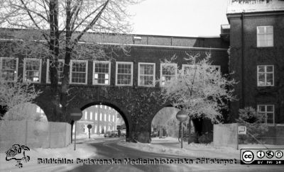 En rimfrostdag på Lasarettet i Lund
Lasarettsfotograferna. Lund. Pärm "Div. tagningar, 1960 och t.v.". Lasarettets exteriörer. Valvet mellan medicinska kliniken och reumatologiska kliniken en rimfrostdag, mot norr. Foto 1961. Från negativ
Nyckelord: Lasarett;Lund;Universitet;Universitetssjukhus;USiL;Exteriör;Medicinsk;Reumatologisk;Klinik;Vinter;Rimfrost