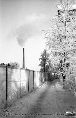 En rimfrostdag på Lasarettet i Lund
Lasarettsfotograferna. Lund. Pärm "Div. tagningar, 1960 och t.v.". Nya panncentralens skorsten från det gamla seminariets parkmark. Stängslet avgränsar nog gropen som centralblocket höll på att byggas i. Vinterbild med rimfrost. Foto 1961. Från negativ.
Nyckelord: Lasarett;Lund;Universitet;Universitetssjukhus;USiL;Exteriör;Panncentrral;Park;Vinter;Rimfrost