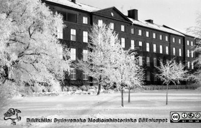 En rimfrostdag på Lasarettet i Lund
Lasarettsfotograferna. Lund. Pärm "Div. tagningar, 1960 och t.v.". Dåvarande psykiatriska klinikens söderfasad.  Foto 1961. Från negativ
Nyckelord: Lasarett;Lund;Universitet;Universitetssjukhus;USiL;Exteriör;Psykiatrisk;Klinik;Vinter;Rimfrost