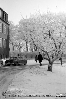 En rimfrostdag på Lasarettet i Lund
Lasarettsfotograferna. Lund. Pärm "Div. tagningar, 1960 och t.v.". Vid dåvarande kvinnoklinikens söderfasad, (eller kanske dåvarande medicinska klinikens?) mot öster. Foto 1961. Från negativ
Nyckelord: Lasarett;Lund;Universitet;Universitetssjukhus;USiL;Exteriör;Medicinsk;UB;Universitetsbibliotek;Bibliotek;Klinik;Vinter;Rimfrost