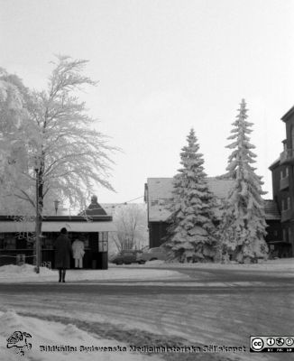 Vy österut  en rimfrostdag, förbi lasarettskiosken, mot reumatologiska klinikens norrfasad och mot dess överläkarvilla. 
Lasarettsfotograferna. Lund. Pärm "Div. tagningar, 1960 och t.v.". Lasarettets exteriörer. Foto 1961. Från negativ
Nyckelord: Lasarett;Lund;Universitet;Universitetssjukhus;USiL;Reumatologi;Rimfrost;Vinter