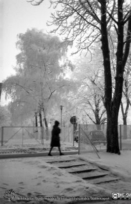 Vy österut mot Helgonabacken vid valvet mellan medicinska reumatologiska klinikerna en rimfrostdag
Lasarettsfotograferna. Lund. Pärm "Div. tagningar, 1960 och t.v.". Foto 1961. Från negativ.
Nyckelord: Lasarett;Lund;Universitet;Universitetssjukhus;USiL;Medicin;Reumatologi;Klinik;Valv