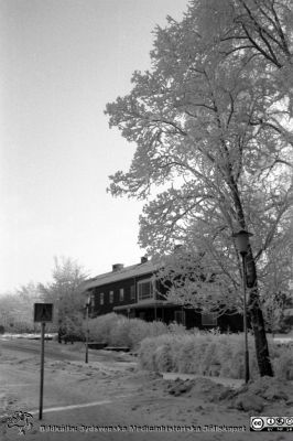  Tandvårdskliniken en rimfrostdag 1961
Lasarettsfotograferna. Lund. Pärm "Div. tagningar, 1960 och t.v.". Lasarettets exteriörer. Foto 1961. Från negativ.
Nyckelord: Lasarett;Lund;Universitet;Universitetssjukhus;USiL;Odontologi;Tandvård;Rimfrost;Vinter