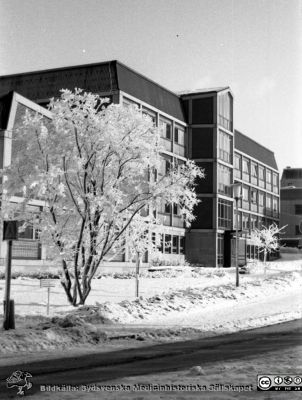 Adminisdtrationsbyggnaden på Lasarettet i Lund
Lasarettsfotograferna. Lund. Pärm "Div. tagningar, 1960 och t.v.". Lasarettets exteriörer. Administrationsbyggnadens söderfasad en rimfrostdag. Foto 1961. Från negativ
Nyckelord: Lund;Lasarett;Universitet;Universitetssjukhus;USiL;Administration;Rimfrost;Vinter