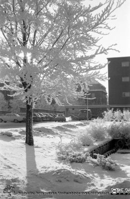 Lasarettet i Lund.  Vy mot söder mot radiologiska klinikens norrsida
Lasarettsfotograferna. Lund. Pärm "Div. tagningar, 1960 och t.v.". Lasarettets exteriörer, 1960-talet. Vy mot söder mot radiologiska klinikens norrsida. Bakom rimfrostträden skymtar dåvarande ortopediska kliniken och de låga baracker som några år fanns strax hitom.  Foto 1961. Från negativ.
Nyckelord: Lasarett;Lund;Universitet;Universitetssjukhus;USiL;Radiologisk;Ortopedisk;Klinik;Rimfrost;Vinter
