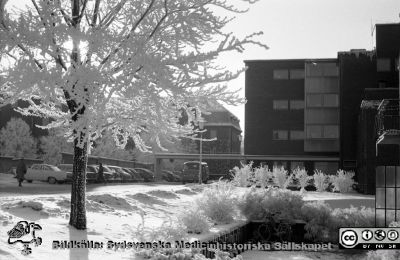 En rimfrostdag på Lasarettet i Lund i början på 1960-talet
Lasarettsfotograferna. Lund. Pärm "Div. tagningar, 1960 och t.v.". Lasarettets exteriörer, 1960-talet. Vy mot söder mot radiologiska klinikens norrsida. Tandvårdsklinikens östergavel till höger i bild. Bakom rimfrostträden skymtar dåvarande ortopediska kliniken och de låga baracker som fanns strax hitom.  Foto 1961. Från negativ
Nyckelord: Lasarett;Lund;Universitet;Universitetssjukhus;USiL;Tandvård;Radiologisk;Klinik;Ortopedisk;Rimfrost;Vinter;Baracker