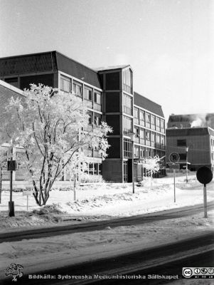 En rimfrostdag på Lasarettet i Lund i början på 1960-talet
Lasarettsfotograferna. Lund. Pärm "Div. tagningar, 1960 och t.v.". Lasarettets exteriörer. Administationsbyggnadens söderfasad en rimfrostdag, från sydväst. AB-blocket skymtar bakom. Foto 1961. Från negativ
Nyckelord: Lasarett;Lund;Universitet;Universitetssjukhus;USiL;Administration;Rimfrost;Vinter