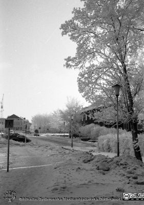 En rimfrostdag på Lasarettet i Lund i början på 1960-talet
Lasarettsfotograferna. Lund. Pärm "Div. tagningar, 1960 och t.v.". Lasarettets exteriörer. Vy mot öster med tandvårdskliniken till höger, laboratorieblocket under byggnad i bakgrunden och i fonden dåvarande psykiatriska kliniken. Foto 1961. Från negativ.
Nyckelord: Lasarett;Lund;Universitet;Universitetssjukhus;USiL;Tandvård;Odontologi;Laboratorium;Block;Psykiatri;Klinik