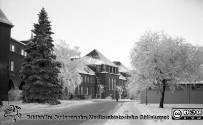 En rimfrostdag på Lasarettet i Lund 1961
Lasarettsfotograferna. Lund. Pärm "Div. tagningar, 1960 och t.v.". Lasarettets exteriörer. Vy mot lasarettskioskens baksida och medicinska kliniken en rimfrostdag 1961.  Från negativ.
Nyckelord: Lasarett;Lund;Universitet;Universitetssjukhus;USiL;Kiosk;Medicin;Klinik;Valv;Vinter;Rimfrost