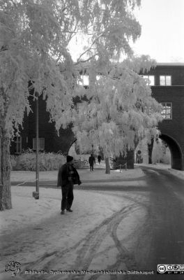 En rimfrostdag på Lasarettet i Lund 1961
Lasarettsfotograferna. Lund. Pärm "Div. tagningar, 1960 och t.v.". Vy söderut mot valvet mellan medicinska och reumatologiska klinikerna en rimfrostdag. Foto 1961. Från negativ.
Nyckelord: Lasarett;Lund;Universitet;Universitetssjukhus;USiL;Reumatologi;Valv;Medicin;Klinik;Rimfrost;Vinter