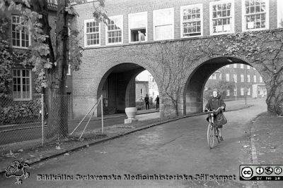 Höstlig vy 1961, norrut mot valvet mellan medicinska (till vänster) och reumatologiska (till höger) klinikerna. 
Lasarettsfotograferna. Lund. Pärm "Div. tagningar, 1960 och t.v.". Lasarettets exteriörer, 1960-talet. Vildvinet på valvet är avlövat och det ligger löv på marken närmast kameran. Foto 1961. Från negativ
Nyckelord: Lasarett;Lund;Universitet;Universitetssjukhus;USiL;Medicin;Reumatologi;Klinik;Valv;Höst;Cyklist