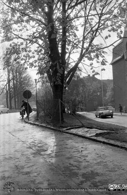 Lasarettet i Lund. Höstlig bild mot söder från valvet mellan medicinska och reumatologiskaklinikerna. 
Lasarettsfotograferna. Lund. Pärm "Div. tagningar, 1960 och t.v.". Lasarettets exteriörer, 1960-talet. Till höger den östra gaveln på dåvarande medicinska kliniken, och längre bort dåvarande kvinnokliniken. Foto 1961. Från negativ.
Nyckelord: Lasarett;Lund;Universitet;Universitetssjukhus;USiL;Medicinsk;Klinik;Kvinnoklinik;KK;Höst;Moped