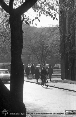 Lasaettet i Lund, 1961
Lasarettet i Lund. Lasarettsfotograferna. Lund. Pärm "Div. tagningar, 1960 och t.v.". Lasarettets exteriörer. Lasarettsgatan söderut, nära universitetsbiblioteket. Medicinska klinikens östra gavel till höger i bild. Kvinnokliniken i fonden. Foto 1961. Från negativ
Nyckelord: Lund;Lasarett;Universitet;Universitetssjukhus;USiL;Gata;Väg;Universitetsbibliotek;UB;Medicin;Klinik;KK;Kvinnoklinik;Fotgängare;Cyklist