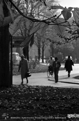 Lasarettet i Lund 1961
Lasarettsfotograferna. Lund. Pärm "Div. tagningar, 1960 och t.v.". Lasarettets exteriörer. Foto 1961. Höstlig vy söderut på Lasarettsgatan vid Universitetsbiblioteket. Från negativ. 
Nyckelord: Lasarett;Lund;Universitet;Universitetsbibliotek;Universitetssjukhus;USiL;Fotgängare;Höst