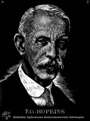 Frederick Hopkins
Sir Frederick Gowland Hopkins O. M., M. A. , M. B. , D. Sc. , LL. D. , F. R. S. , F. R. C. P. Född 1861. Belönad 1929 med Nobelpriset i fysiologi och medicin "för hans upptäckt av tillväxtvitaminerna". Reprotryck. Monterat
Nyckelord: Frederick;Gowland;Hopkins;Nobelpris;Nobelpristagare;Vitaminer;Tillväxt;Tillväxtvitaminer;Kapsel 12;Porträtt