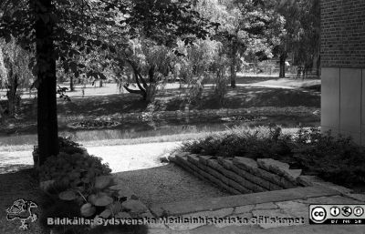 Parken öster om reumatologiska kliniken med ankdammen 1960
Lasarettsfotograferna. Lund. Pärm "Div. tagningar, 1960 och t.v.". Reumatens badbassäng är ännu inte byggd. 16. Från negativ
Nyckelord: Lasarett;Lund;Universitetssjukhus;USiL;Park;Ankdamm;Reumatologisk;Klinik