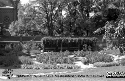 Parken mellan förlossningsavdelningen och dåvarande medicinkliniken 1960
Lasarettsfotograferna. Lund. Pärm "Div. tagningar, 1960 och t.v.". 16. Trädgården 1960 strax norr om förlossningsavdelningen med Allhelgonakyrkan i bakgrunden. En liten statyett i dammen.  Från negativ.
Nyckelord: Lasarett;Lunga;Universitetssjukhus;USiL;Medicin;Klinik;Allhelgonakyrkan;Staty;Damm;Park;Trädgård