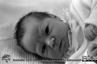 Nyfödd på Kvinnokliniken i Lund 1984
Sjukhusfotograferna i Lund. Pärm S/V neg.-84. 84. 57. Nyfödd, KK. Från negativ.
Nyckelord: Lasarettet;Lund;Universitetssjukhus;USiL;BB;KK;Barn;Neonatal;Nyfödd;Baby
